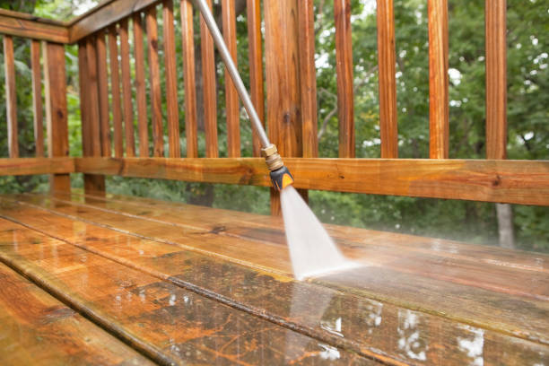 Best Pool Deck Cleaning  in Stockton University, NJ